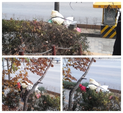 마지막 남은 한장의 달력을 보며 _1