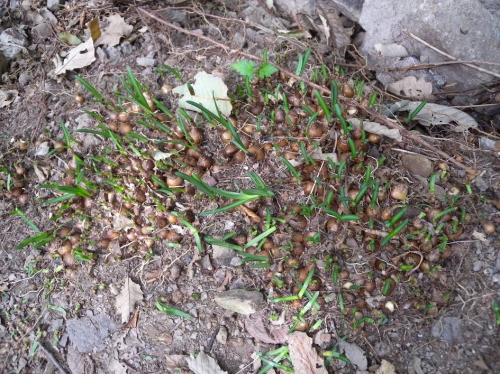 운명의 한 컷!_1