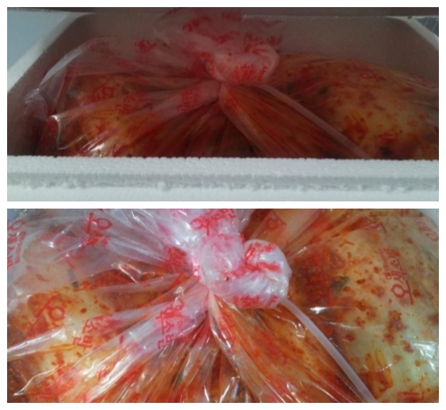 다가온 엄동설한, 마음으로 녹이자 _1