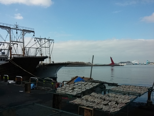 함께하니 밥맛이 참 좋네_1