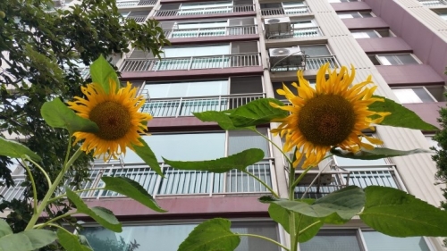 층간소음 문제 당신들만 사는 것 아니잖아요?_1