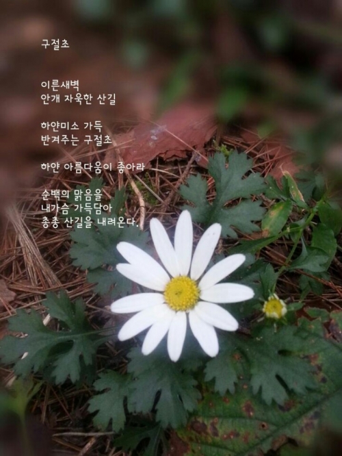 친구와의 두 번째 이야기_1