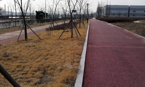 산업단지 쓰레기, 아직도 안치워졌네요 _1