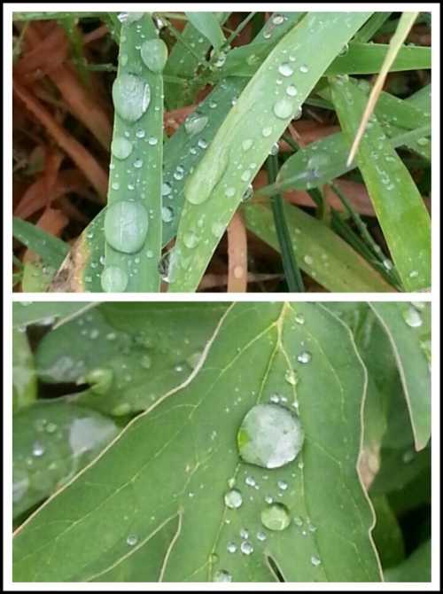 참 잘살았어, 친구야!_1