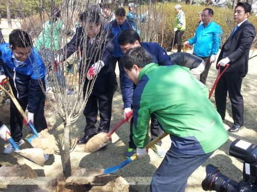 광복70주년 기념 나라꽃 무궁화 식목행사 가져_3