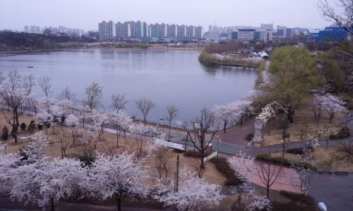 '부부는 일심동체' 맞는 말인가?_1