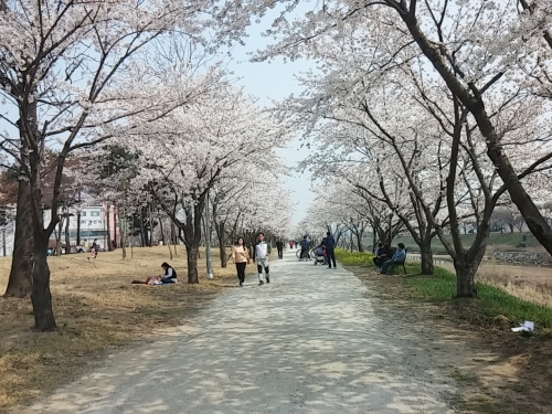 머물러있는 것보다 도전이 훨씬 즐겁다_1