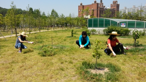 서호생태공원 '감나무동산 가꾸기' 마을만들기 사업 추진 _1