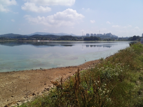 농심교 아래 솟아오르는 물, 생수였으면 좋겠다_1