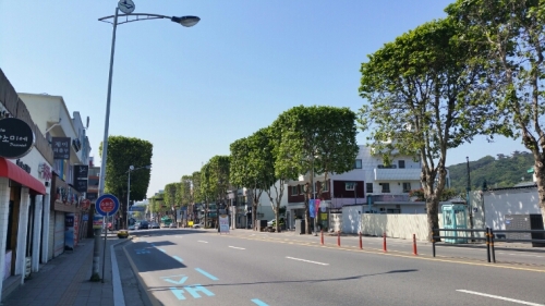 어! 가로수가 아이스바를 닮았네_1