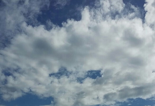 좋은 이웃과 더불어 사는 기쁨 나 이사 안갈래요_1