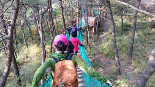 괴산 산막이 옛길과 광교 수변로 무엇이 다를까 _1