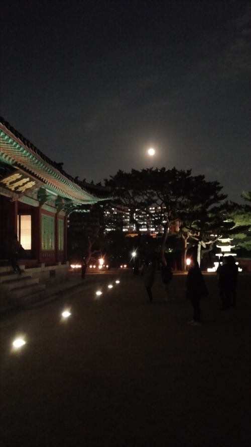 궁궐의 가을밤은 어떤 모습일까? _1