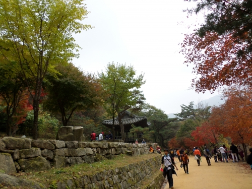'새도 날아서 넘기 힘든 문경새재?' 참으로 걷기 좋은 길이로다!_1