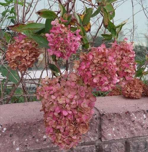 아름다운 가을같은 갑과 을의 관계를 만들 수 없을까_1