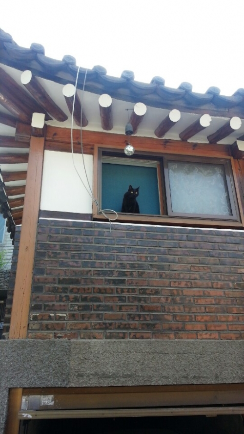 나와 반려동물의 이야기_1