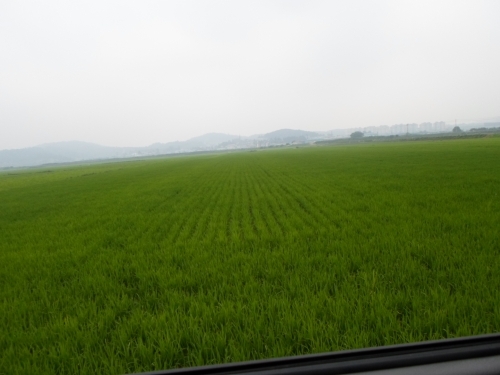 2016년 쌀소득과 밭농업 직불제 신청 접수_1