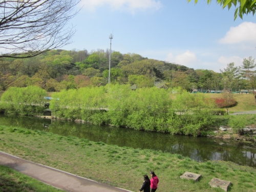 우리 동네는 꽃동네, 참 살만한 곳_1