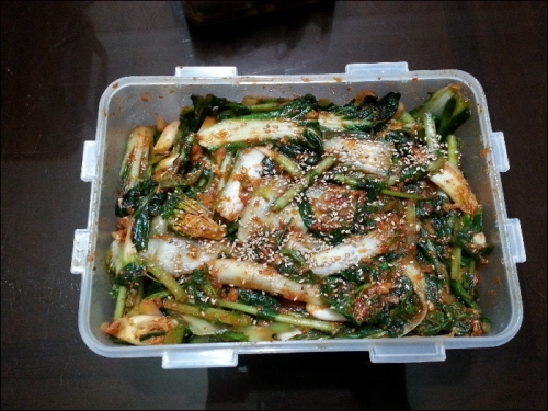 채소 값이 비싸서 귀농을 꿈꾼다구요?_1