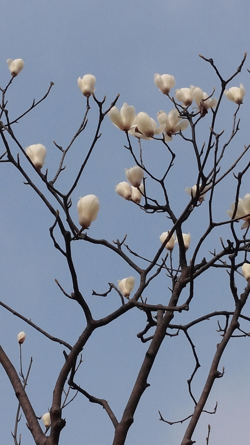 지구촌의 안타까운 지진소식을 접하며_1