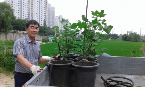 태장동 주민자치위원장 목화화분 기증_1