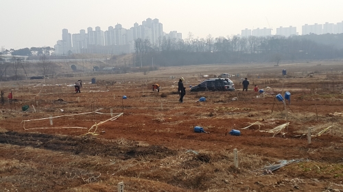 당수동 시민농장에서 농부의 꿈 키우고, 가족 먹거리도 키우고_1