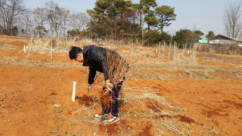 당수동 시민농장에서 농부의 꿈 키우고, 가족 먹거리도 키우고_3
