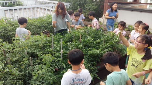 옥상 텃밭 체험