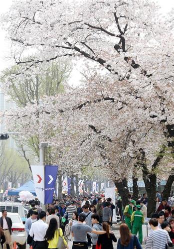 '봄, 꽃들이 부른다'…4월 곳곳에서 꽃축제 '활짝'_1