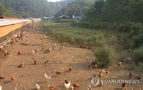 '가축이 행복한 농장 만들자'…경기도 7월부터 인증_1