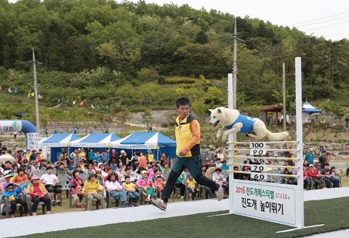 진도서 내달 6일 '진도개 페스티벌'_1