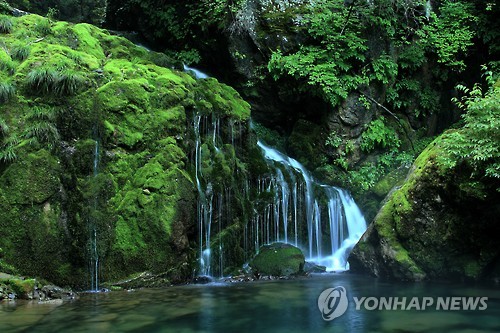 영화 옥자 촬영지, 삼척 무건리 이끼폭포 9월 재개방_1