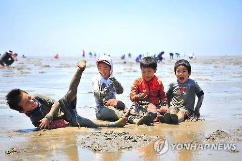 "조개 캐고 모래성 쌓고" 고창 갯벌축제 개막_1