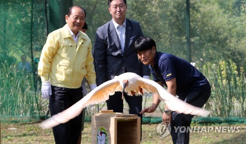 우포따오기 또 AI 이겨냈다…내달 일반 공개 재개_1