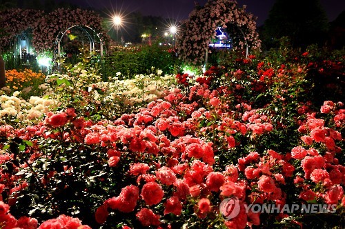 '장미와 동화의 만남' 곡성세계장미축제 5월 19일 개최_1