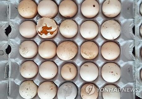 항생제 계란·묵은 식재료…못믿을 기숙학원 급식_1