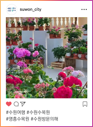 인스타그램이미지